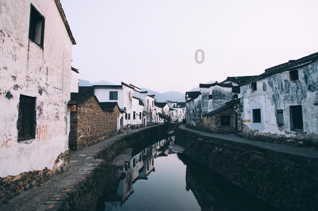 滚动的奶酪